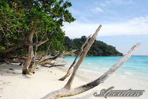 South Andaman Sea islands